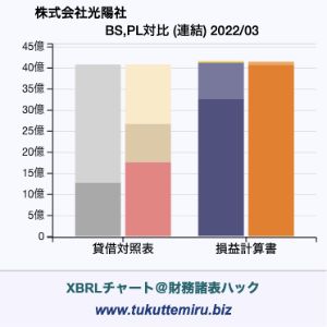 株式会社光陽社の貸借対照表・損益計算書対比チャート