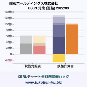 昭和ホールディングス株式会社の貸借対照表・損益計算書対比チャート