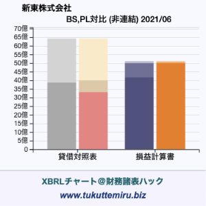 新東株式会社の貸借対照表・損益計算書対比チャート
