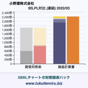小野建株式会社の業績、貸借対照表・損益計算書対比チャート