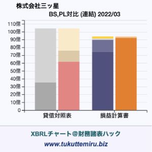 株式会社三ッ星の貸借対照表・損益計算書対比チャート