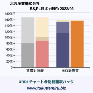北沢産業株式会社の業績、貸借対照表・損益計算書対比チャート