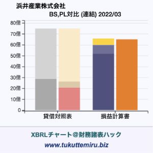 浜井産業株式会社の業績、貸借対照表・損益計算書対比チャート