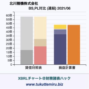 北川精機株式会社の業績、貸借対照表・損益計算書対比チャート
