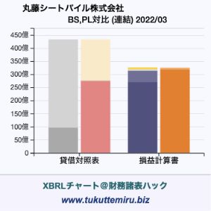 丸藤シートパイル株式会社の貸借対照表・損益計算書対比チャート