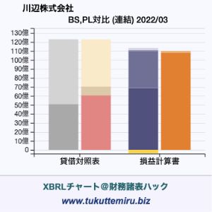 川辺株式会社の業績、貸借対照表・損益計算書対比チャート