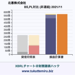 北恵株式会社の貸借対照表・損益計算書対比チャート