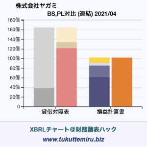 株式会社ヤガミの貸借対照表・損益計算書対比チャート