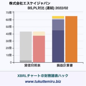 株式会社エスケイジャパンの業績、貸借対照表・損益計算書対比チャート