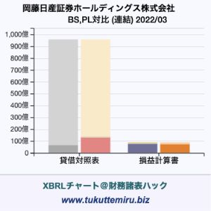 岡藤日産証券ホールディングス株式会社の貸借対照表・損益計算書対比チャート