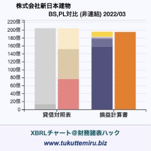 株式会社新日本建物の業績、貸借対照表・損益計算書対比チャート