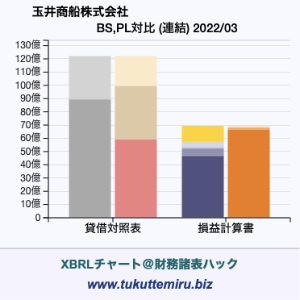 玉井商船株式会社の業績、貸借対照表・損益計算書対比チャート