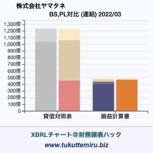 株式会社ヤマタネの貸借対照表・損益計算書対比チャート