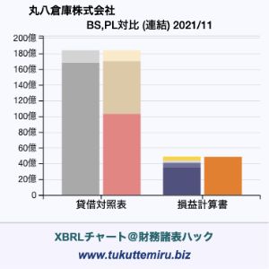 丸八倉庫株式会社の貸借対照表・損益計算書対比チャート