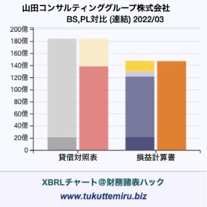 山田コンサルティンググループ株式会社の貸借対照表・損益計算書対比チャート