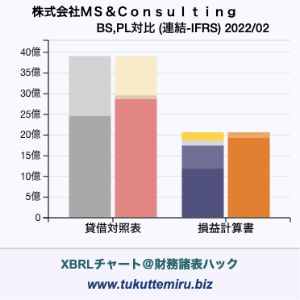 株式会社ＭＳ＆Ｃｏｎｓｕｌｔｉｎｇの業績、貸借対照表・損益計算書対比チャート