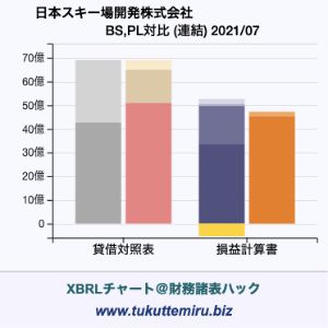 日本スキー場開発株式会社の業績、貸借対照表・損益計算書対比チャート