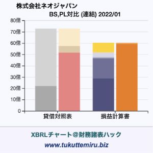株式会社ネオジャパンの業績、貸借対照表・損益計算書対比チャート