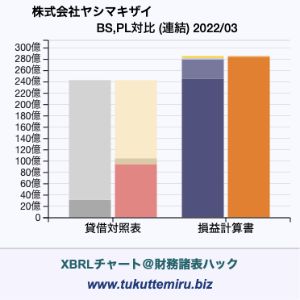 株式会社ヤシマキザイの業績、貸借対照表・損益計算書対比チャート
