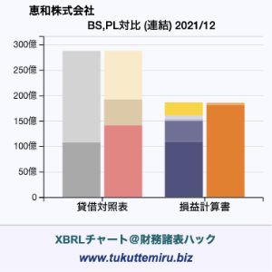 恵和株式会社の貸借対照表・損益計算書対比チャート