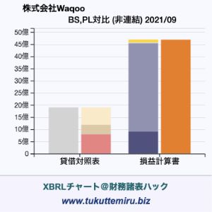 株式会社Waqooの貸借対照表・損益計算書対比チャート