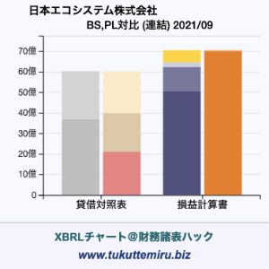 日本エコシステム株式会社の業績、貸借対照表・損益計算書対比チャート