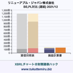 リニューアブル・ジャパン株式会社の業績、貸借対照表・損益計算書対比チャート
